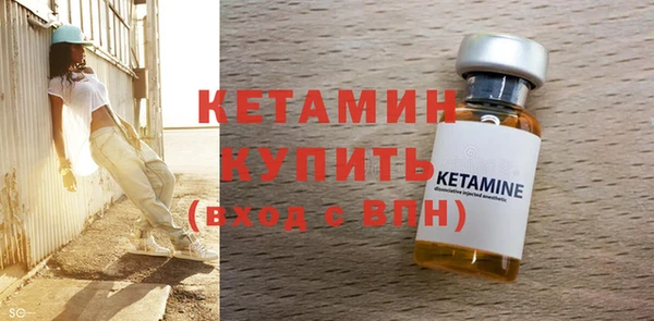 шишки Горно-Алтайск