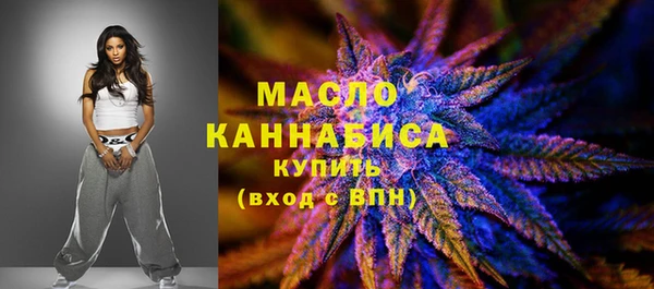 шишки Горно-Алтайск