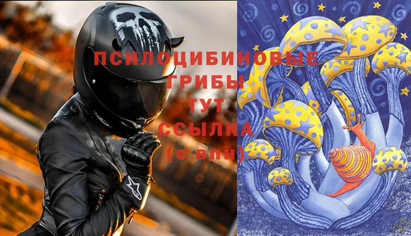шишки Горно-Алтайск