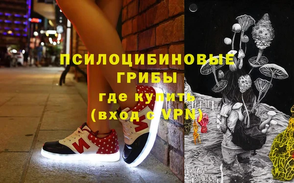 шишки Горно-Алтайск